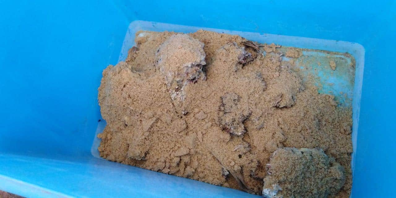 IMO 1 campur gula merah