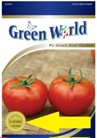 biji benih tomato f1 hybrid