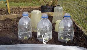 botol mineral guna semula kebun